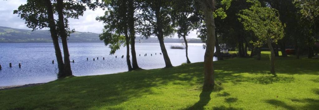 Lakeside Cottage Killaloe Exterior foto